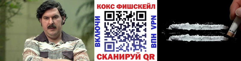 Кокаин Fish Scale  Купить закладки  Нефтекумск 