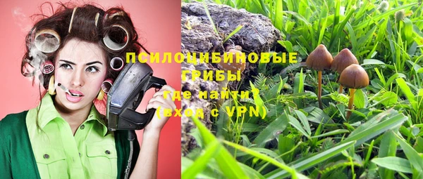 марки lsd Ельня