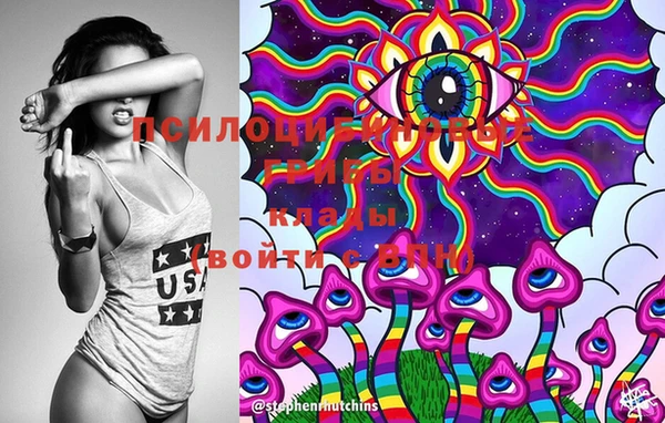 марки lsd Ельня