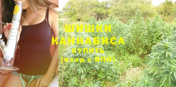 марки lsd Ельня